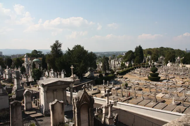 Vue générale du cimetière de Loyasse à Lyon, ses monuments de pierre et ses allées arborées